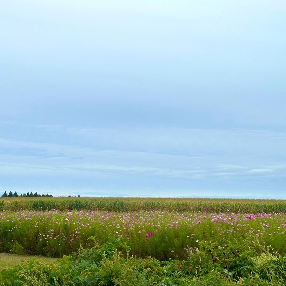 Meet your Posher, Sandra - Picture 1 of 1